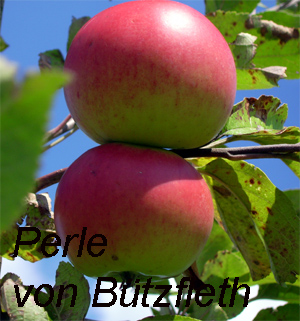 obstbauer eckart brandtt